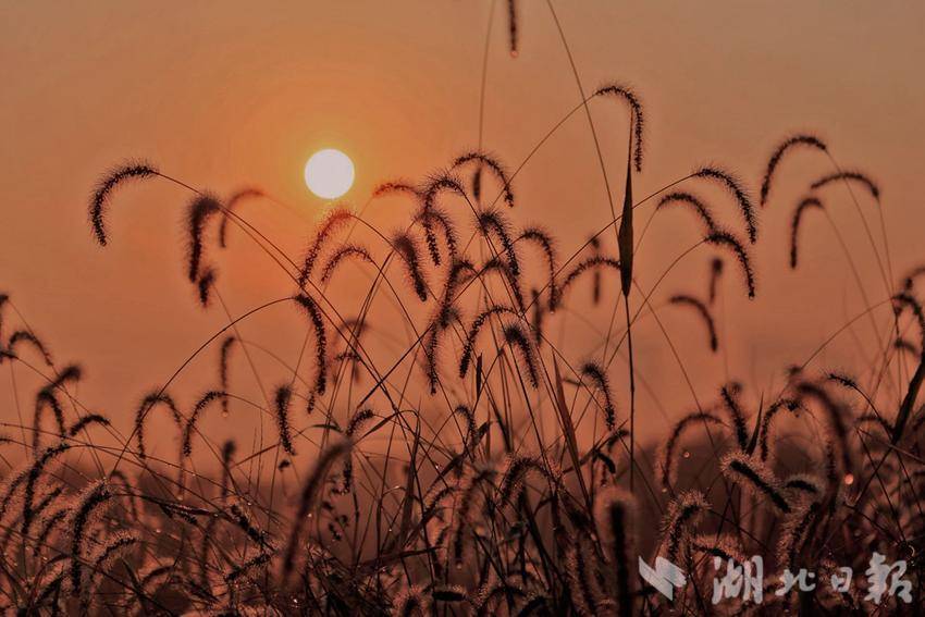 日落時(shí)的心情，只有微風(fēng)和晚霞