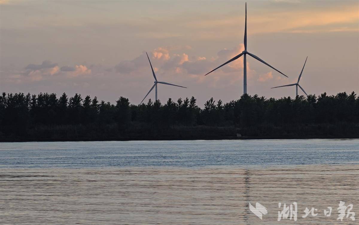 江豚 記者在岸邊蹲守地點的美景.jpg