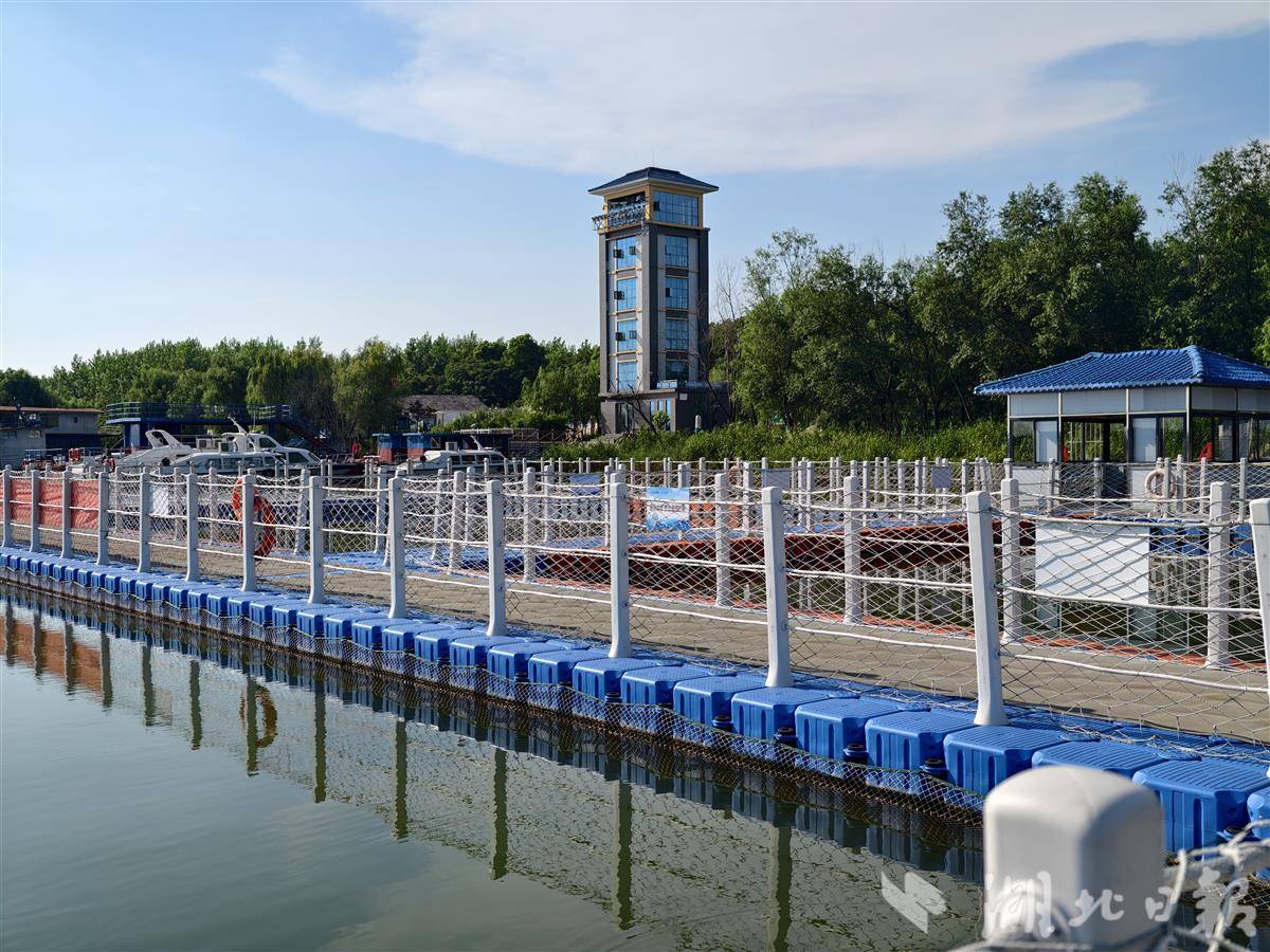 江豚 天鵝洲26.jpg