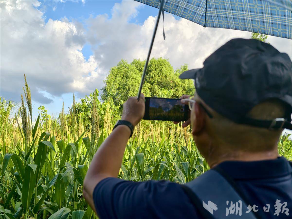 江豚 李勇同拍照.jpg