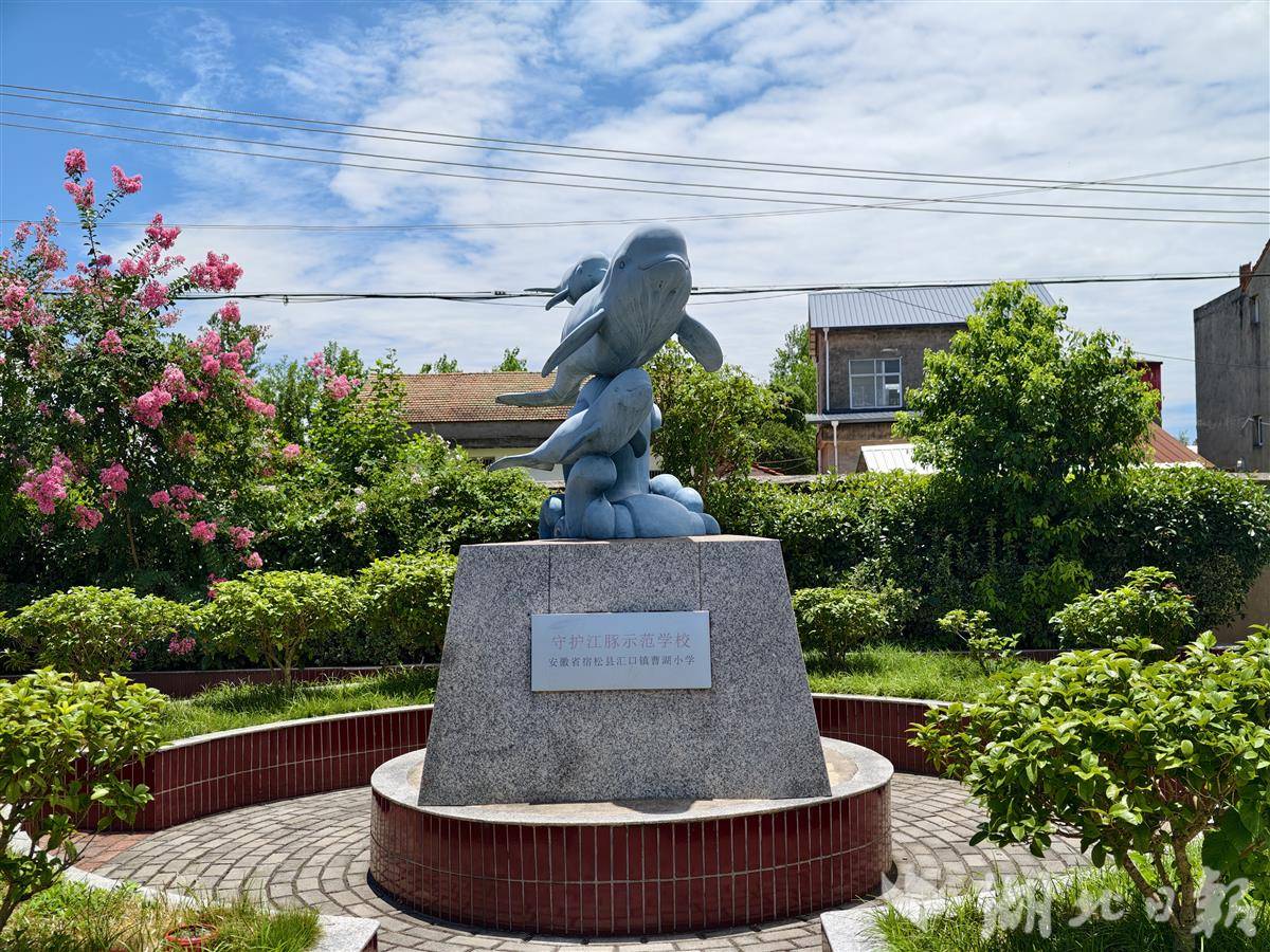 江豚 江豚小學(xué)的孩子們8.jpg