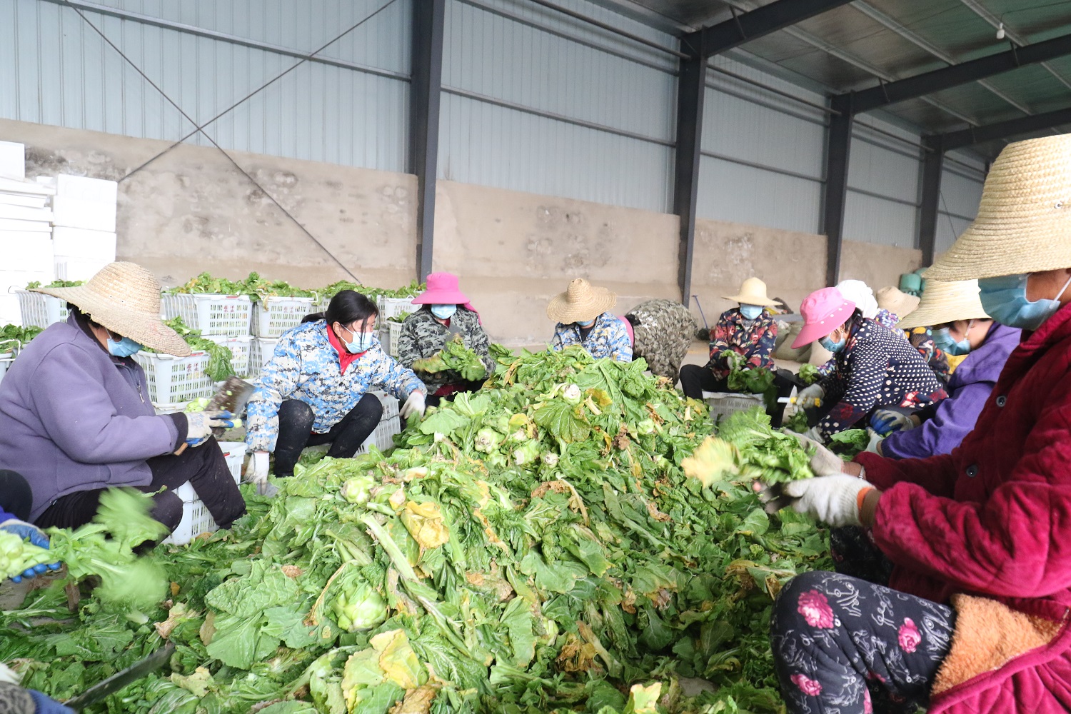 1aaa4ce900e463cd6cff96927ed76c1 1aaa4ce900e463cd6cff96927ed76c1