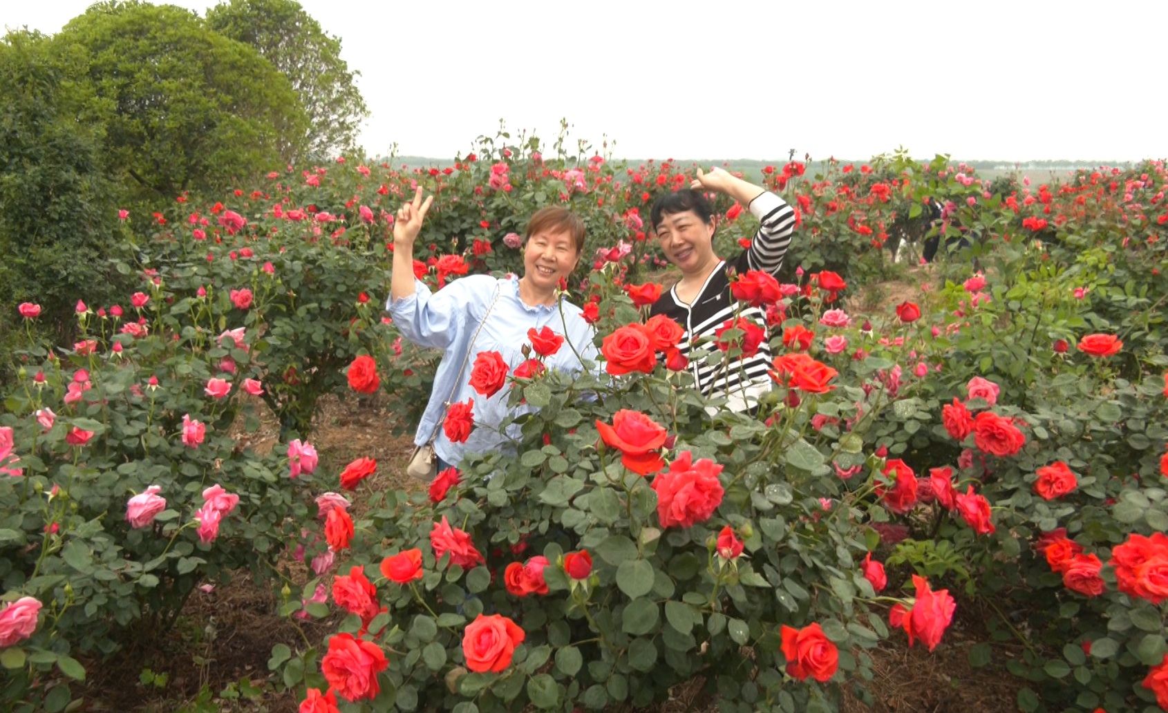 430b340c8c9349e08b9f75483a1e14b5_image 430b340c8c9349e08b9f75483a1e14b5_image